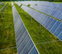 Solar modules on green field in photovoltaic station